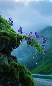 Fitness Trends Focus on Long-Term Health